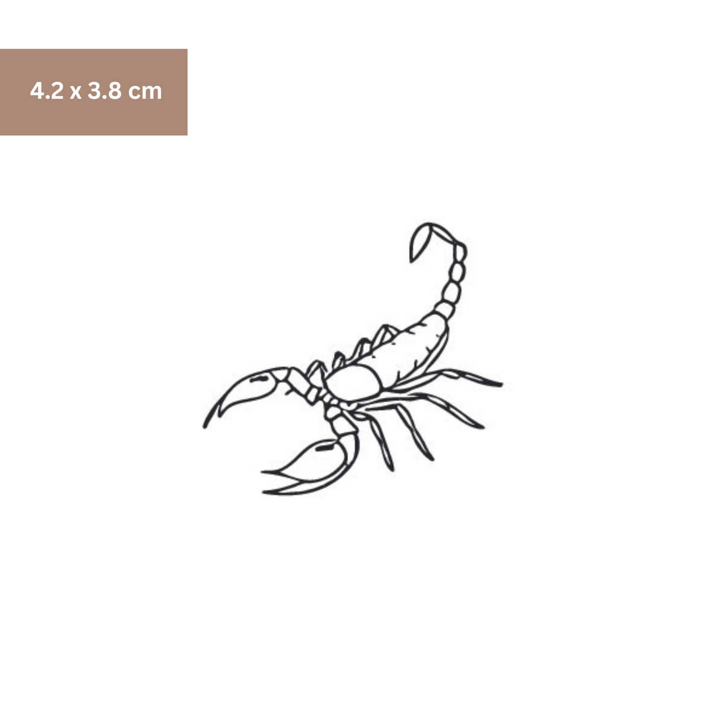 Skorpion Tattoo - Henna Tattoo Schweiz