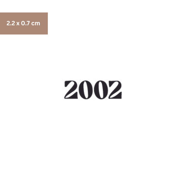 2002 Tattoo - Henna Tattoo Schweiz
